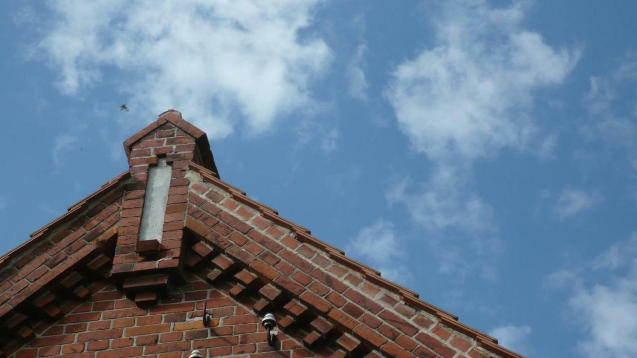 Ferienwohnung Zum Breitling In Stove Zewnętrze zdjęcie